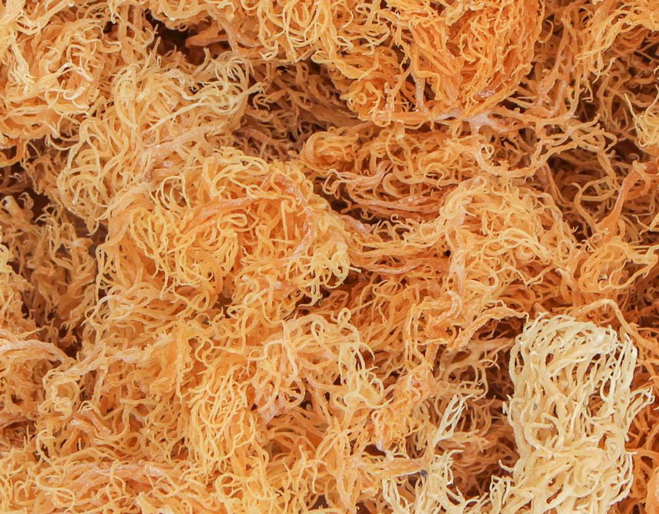 Raw Sea Moss image 3